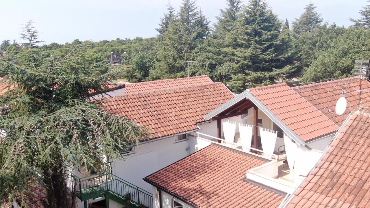 Apartment Katoro Umag Zewnętrze zdjęcie